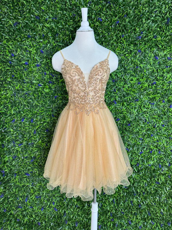 TATIANA DRESS