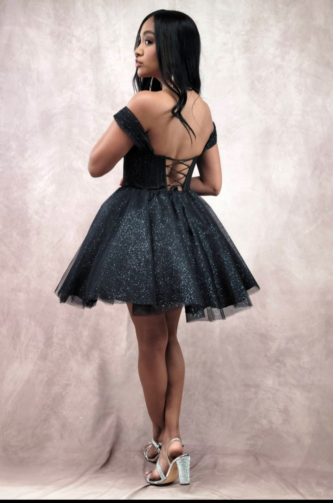 SASHA DRESS