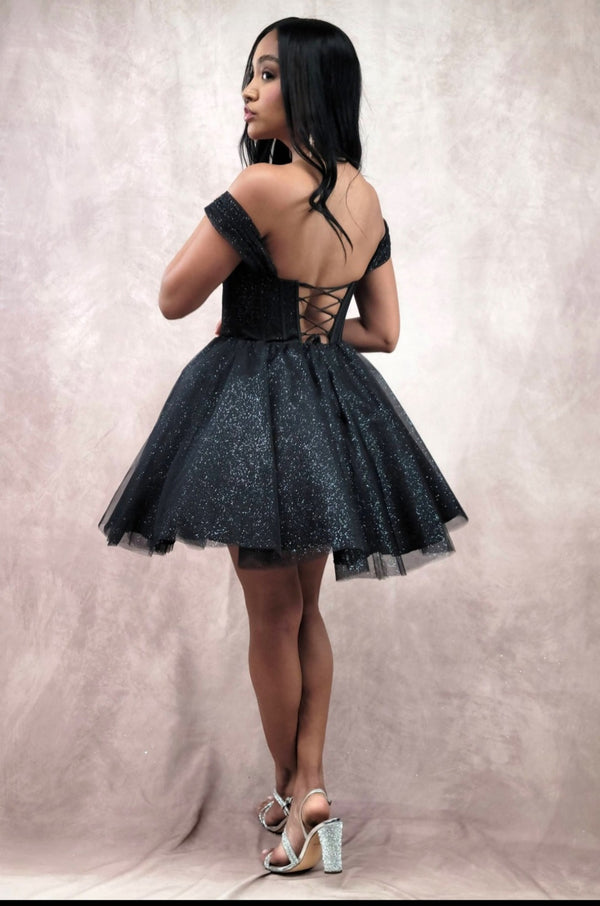 SASHA DRESS