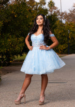 EVELYN DRESS