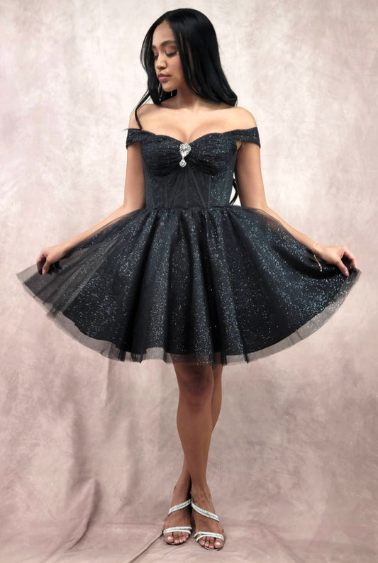 SASHA DRESS